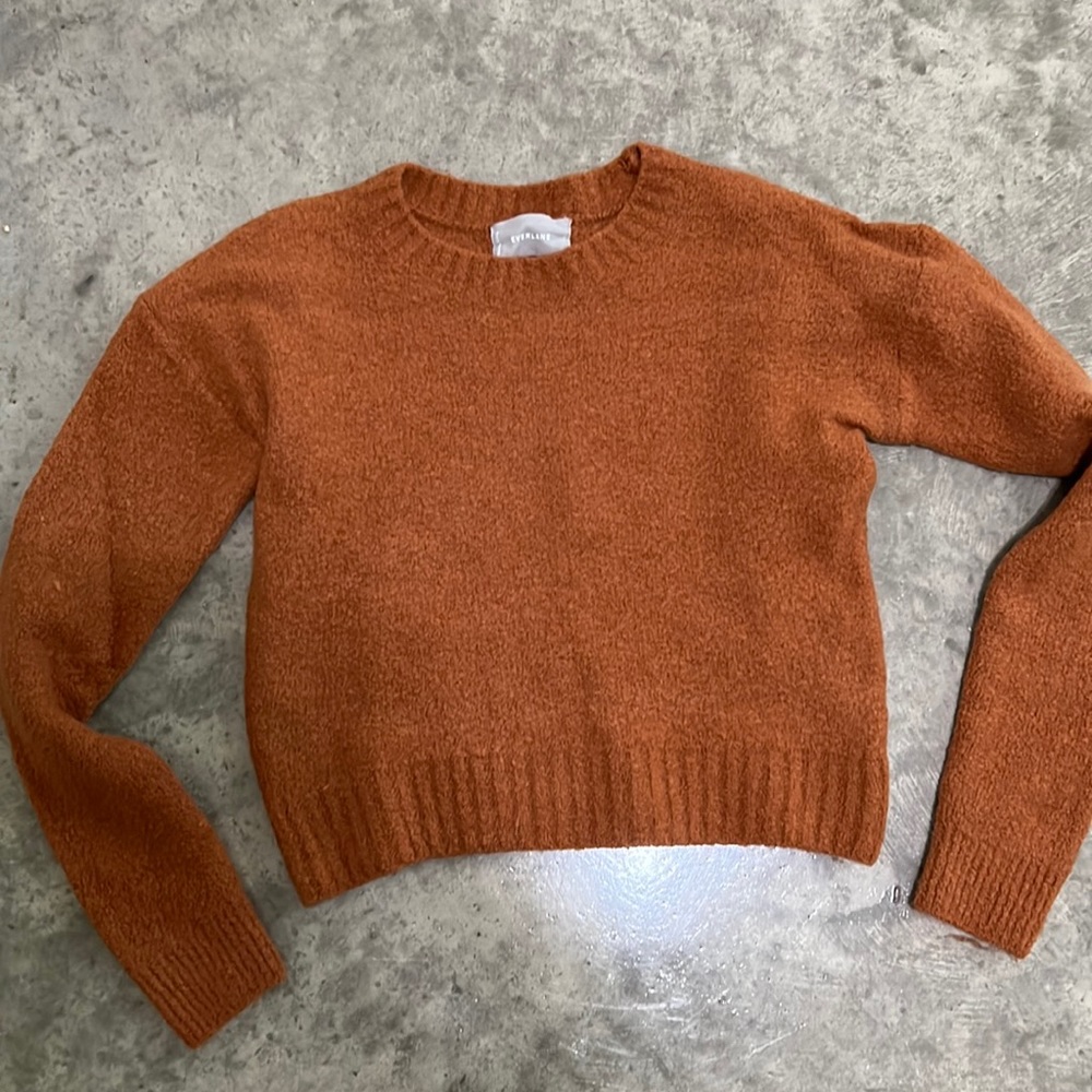 The Teddy Crew Sweater - Everlane